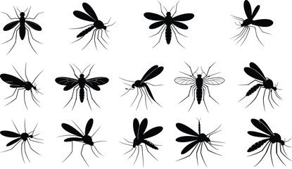 Mosquito insect silhouettes set black and white vector illustration flying bug collection pest control symbols minimal flat design isolated © Hamim's World