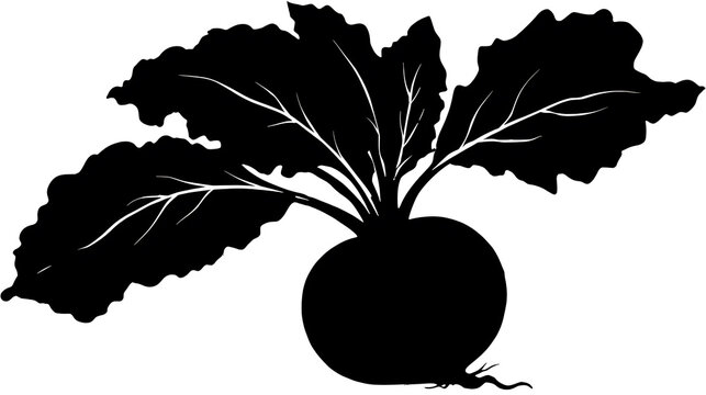 A silhouette of a beetroot, depicting its root and leaves in stark contrast