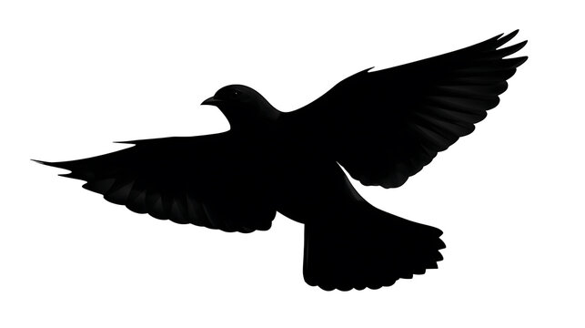 A silhouette of a dove in flight, a symbol of peace. The dove's wings are spread wide as it soars, against a bright background