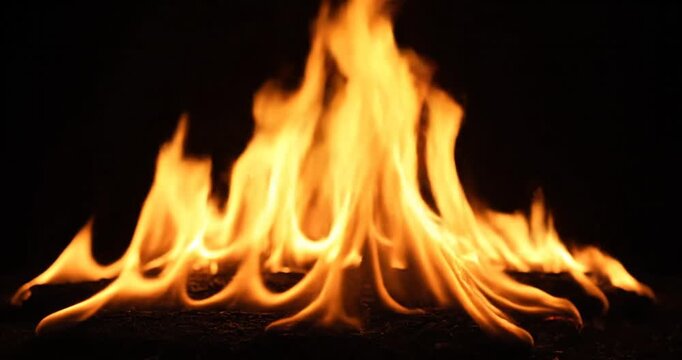 Burning Fire Flames on Black Background.