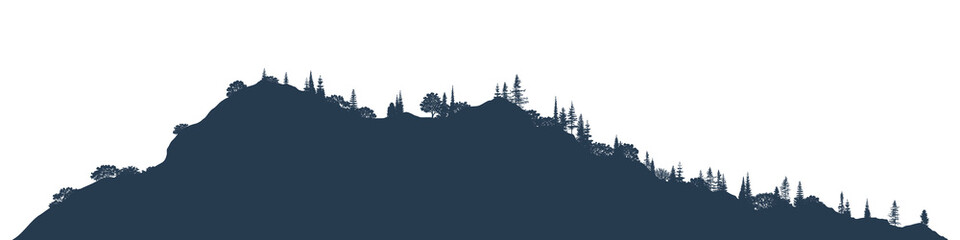 Silhouette of a forest, isolated on white background, vector illustration © Valerii