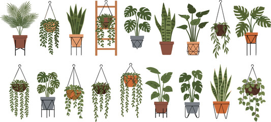 Indoor hanging houseplants collection with tropical potted plants vector set for home decor, botanical design, and urban jungle illustrations © MatRukshana