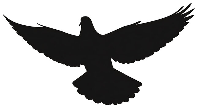 A silhouette of a dove with spread wings, conveying peace and freedom. The bird appears in mid-flight