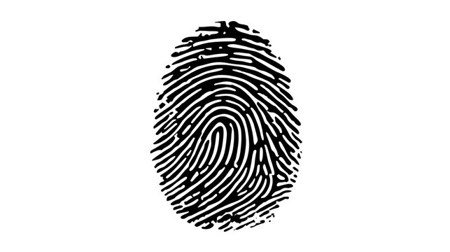 A unique fingerprint, a symbol of identity and individuality. The intricate pattern of ridges and furrows is a testament to the distinctiveness of each person.