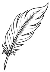 Obraz premium Elegant quill feather illustration for creative designs; detailed line art featuring plume and barbs on light background