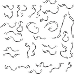 Fototapeta premium Set of decorative vector floral elements and silhouettes for design and decoration