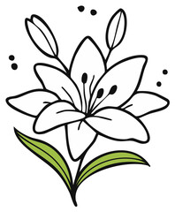 Elegant Outline of a White Lily Flower with Green Leaves and Buds
