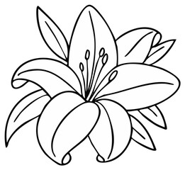 Obraz premium Line Drawing of a Blooming Lily Flower with Leaves