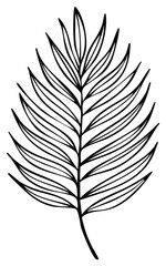 Obraz premium Minimalist Tropical Palm Leaf Line Art Illustration