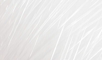 Obraz premium plastic overlay texture of realistic crumpled transparent plastic film wrap on white background, wrinkled stretched plastic effect. abstract plastic background on transparent png