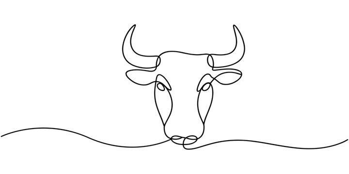Bull head Continuous one line drawing. Bull drawing in modern minimalist style. Vector illustration.