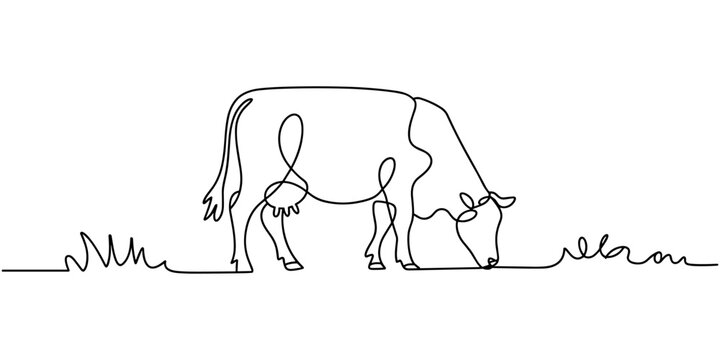 Cow on pasture in continuous line art drawing style. Grazing cow minimalist black linear sketch isolated on transparent background