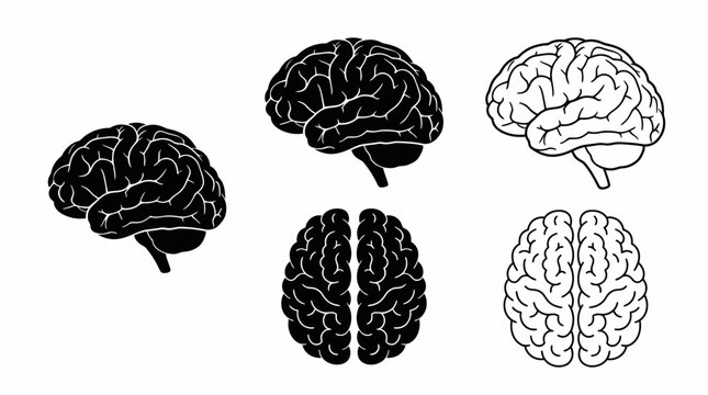 Human brain icons collection featuring side and top view in black silhouette and outline styles on white background, concept for medical education, neuroscience and creative thinking