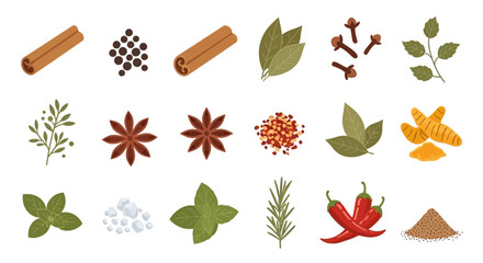 Variety of spices displayed against white background for culinary and design purposes © Lariss