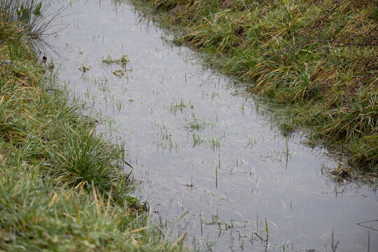 Shallow drainage ditch with standing water and green grass
