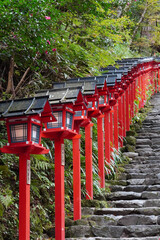 京都貴船神社の朱塗りの灯籠が立ち並ぶ参道の石段