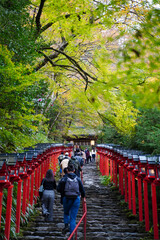 京都貴船神社の朱塗りの灯籠が立ち並ぶ参道の石段