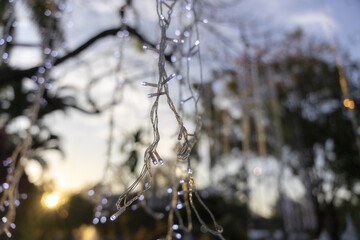 Beautiful hanging light string creates serene outdoor decoration. These magical tree lights shine against soft focus background with warm evening sunset for peaceful celebration