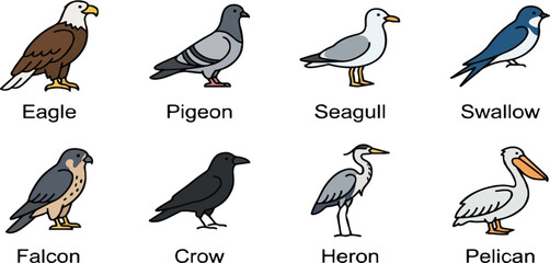 Obraz premium Urban and Coastal Bird Collection Flat Line Art of Pigeon, Seagull, and Swallow.