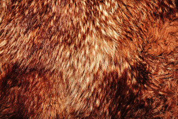 Close-up presents the textured surface of dense, brown faux fur, ideal for use as a background or backdrop with ample copy-space for adding text or design elements. © Aleksandr