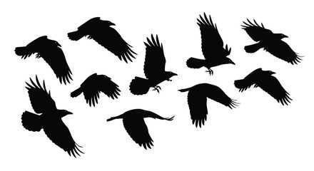 Obraz premium A flock of black birds in various flight poses a bold silhouette