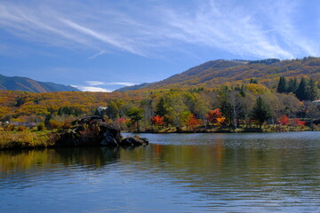 Obraz premium 白樺湖の紅葉の森と御座岩遺跡 
