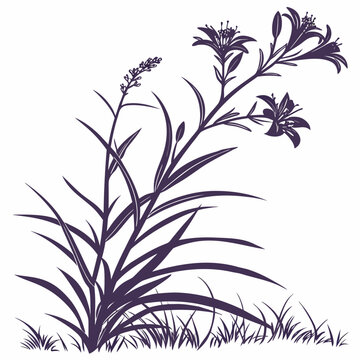 tradescantia pallida silhouette