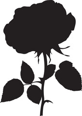 Elderly couple silhouetted against a vibrant sunset sky with clouds, nostalgic evening