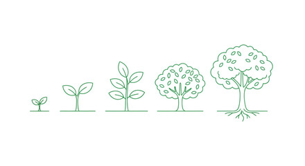 Illustration depicting the stages of tree growth from sprout to maturity © Baby Collection