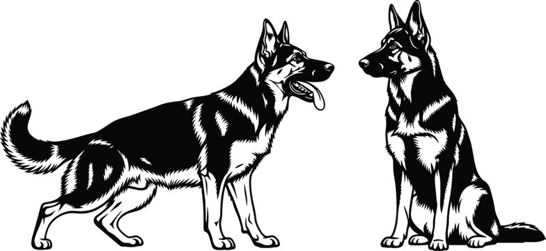 Black and white silhouette of two German Shepherd dogs, one standing and one sitting, detailed canine breed illustration for security and pet design.