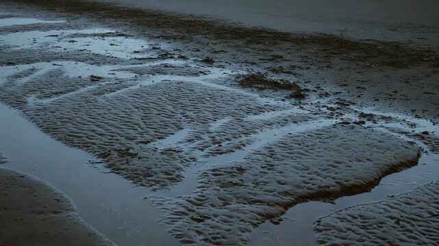Water mirrors sky while winding channels cut textured sand on a mudflat at ebb tide, forming graceful ripples and abstract patterns of light, wet curves and calm reflections