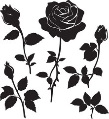 Diverse Group of People Silhouetted Against a Vibrant Sunset Sky, Concept of Community and Connection