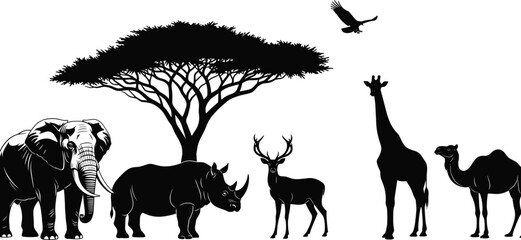 Black African safari wildlife vector set, elephant rhino giraffe and camel collection, savanna animals with acacia tree isolated on white background, © Rowshan