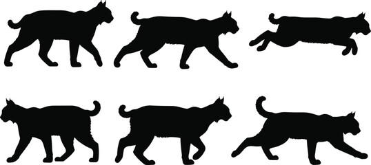Black bobcat silhouette vector set, wild lynx walking and running motion poses, forest predator cat collection isolated on white background, © Rowshan
