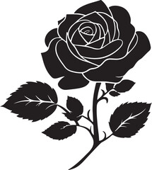 Group of diverse people in silhouette celebrating life against a backdrop of abstract, colorful energy.