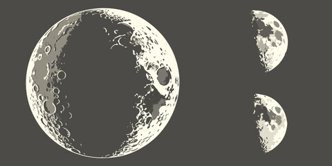 A captivating depiction of the moon's phases in a celestial dance Vector ©  MST RABEYA  BEGUM