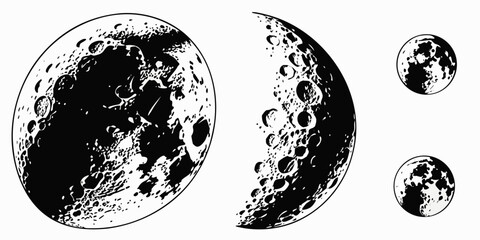 The moon phases transition from full to new over a month Vector ©  MST RABEYA  BEGUM