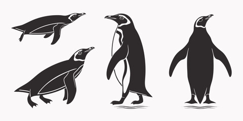 Obraz premium Four different types of penguins standing on a flat surface Vector