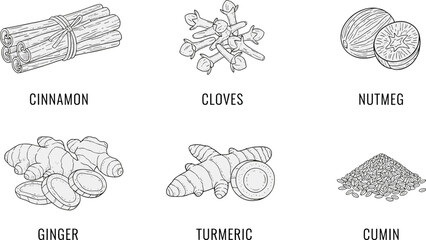Hand drawn spice set outline illustration, flat vector collection of cinnamon cloves nutmeg ginger turmeric cumin isolated on white background