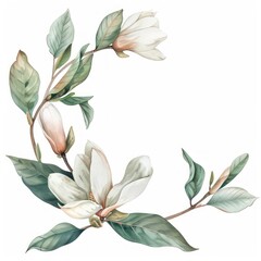 Obraz premium Elegant magnolia floral illustration