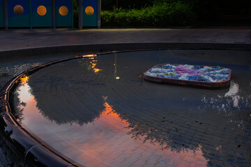 公園の池に反射する夕日