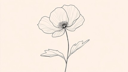 Fototapeta premium A minimalist line drawing of a single flower with a long stem, one large bloom, and two leaves