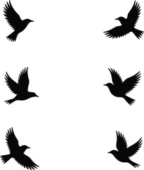 Obraz premium Six black silhouette birds in flight on a white background flying freedom
