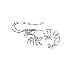 vector illustration of a shrimp line art
