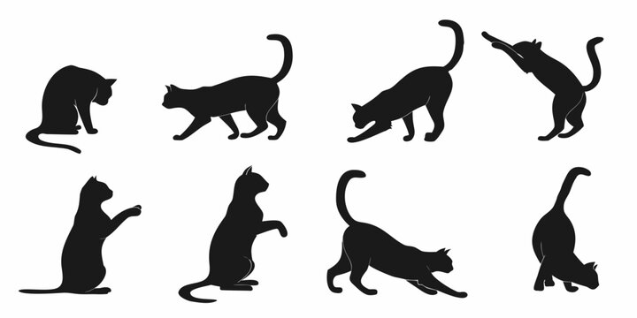 A collection of black cat silhouettes in various playful and relaxed poses Vector
