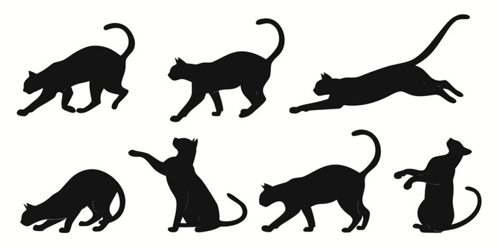 A collection of black silhouette cats in various dynamic poses and positions Vector