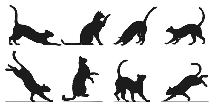 Black silhouettes of cats in various playful and dynamic poses Vector