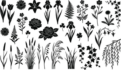 Collection of botanical flower and leaf silhouettes, wildflowers, grasses, fern and ivy set isolated on white background for design, clipart, nature illustration pack © It's Raju