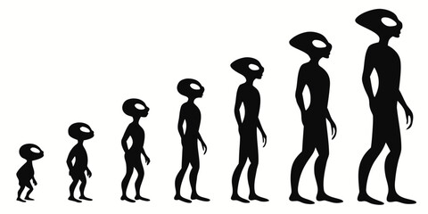 Evolution of human beings depicted through various stages of development Vector © ADOBE