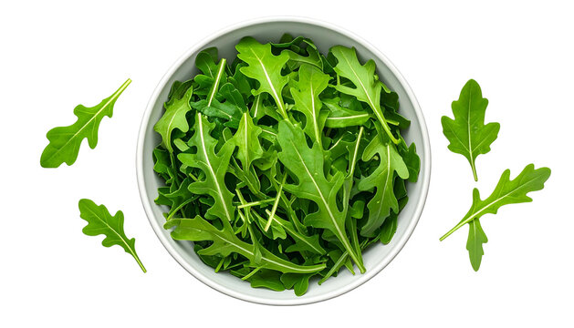 Fresh, vibrant arugula leaves fill a white bowl with scattered pieces on a black background